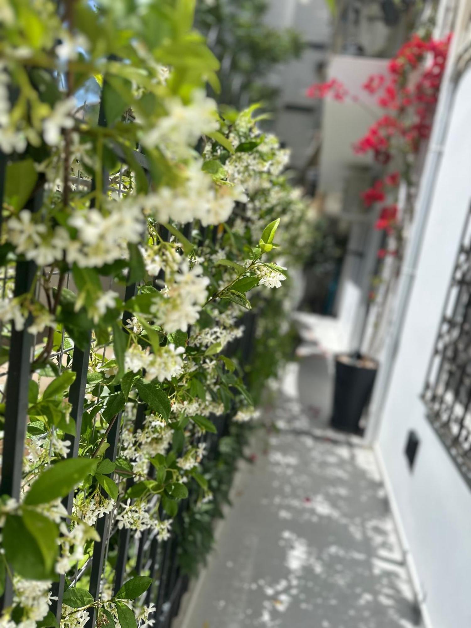 Athenian Coastal Urban Living Daire Dış mekan fotoğraf